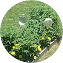 Grady Branham profile picture